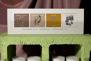CANDLE DISCOVERY SET #3
